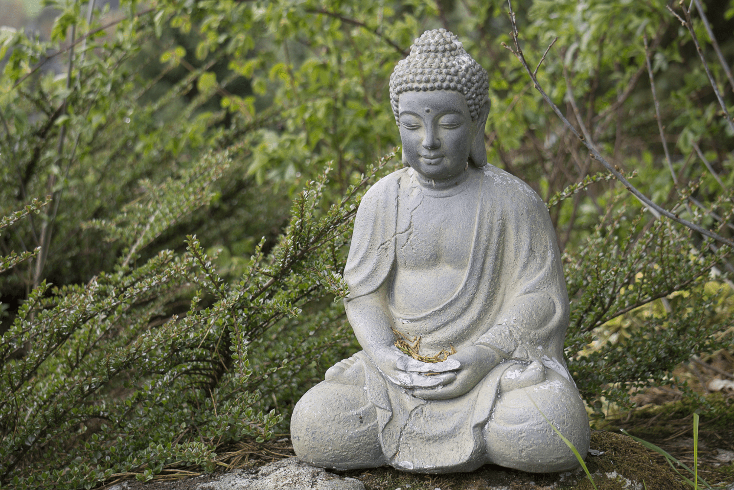 Bouddha Chine
