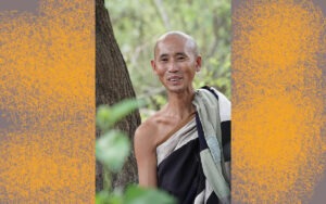 Maitre-Thich-Minh-Tue-300x188 Le Sri Lanka expulse un moine bouddhiste vietnamien en pleine marche spirituelle