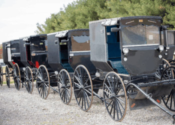Amish