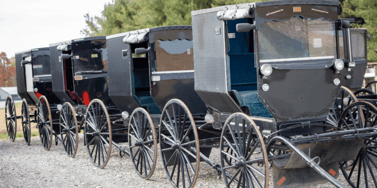 Amish
